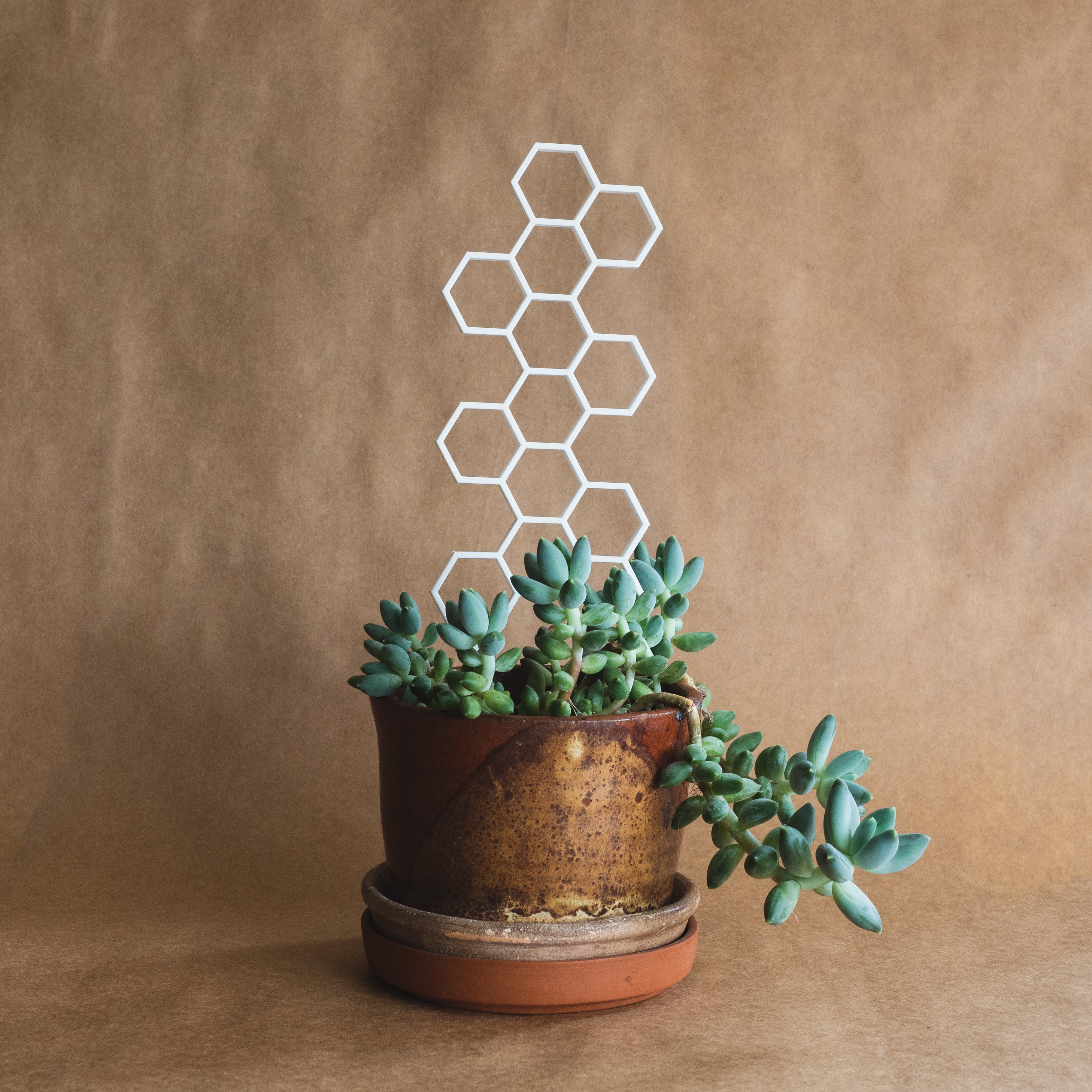 honeycomb plant trellis Honeycomb Plant Trellis – Alpenglow