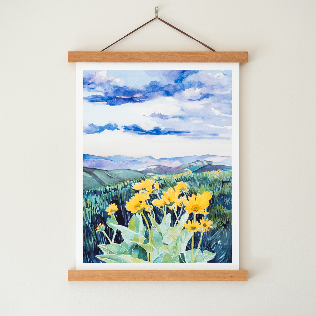 Arrowleaf Balsamroot in the Methow - Watercolor Print with Hanger