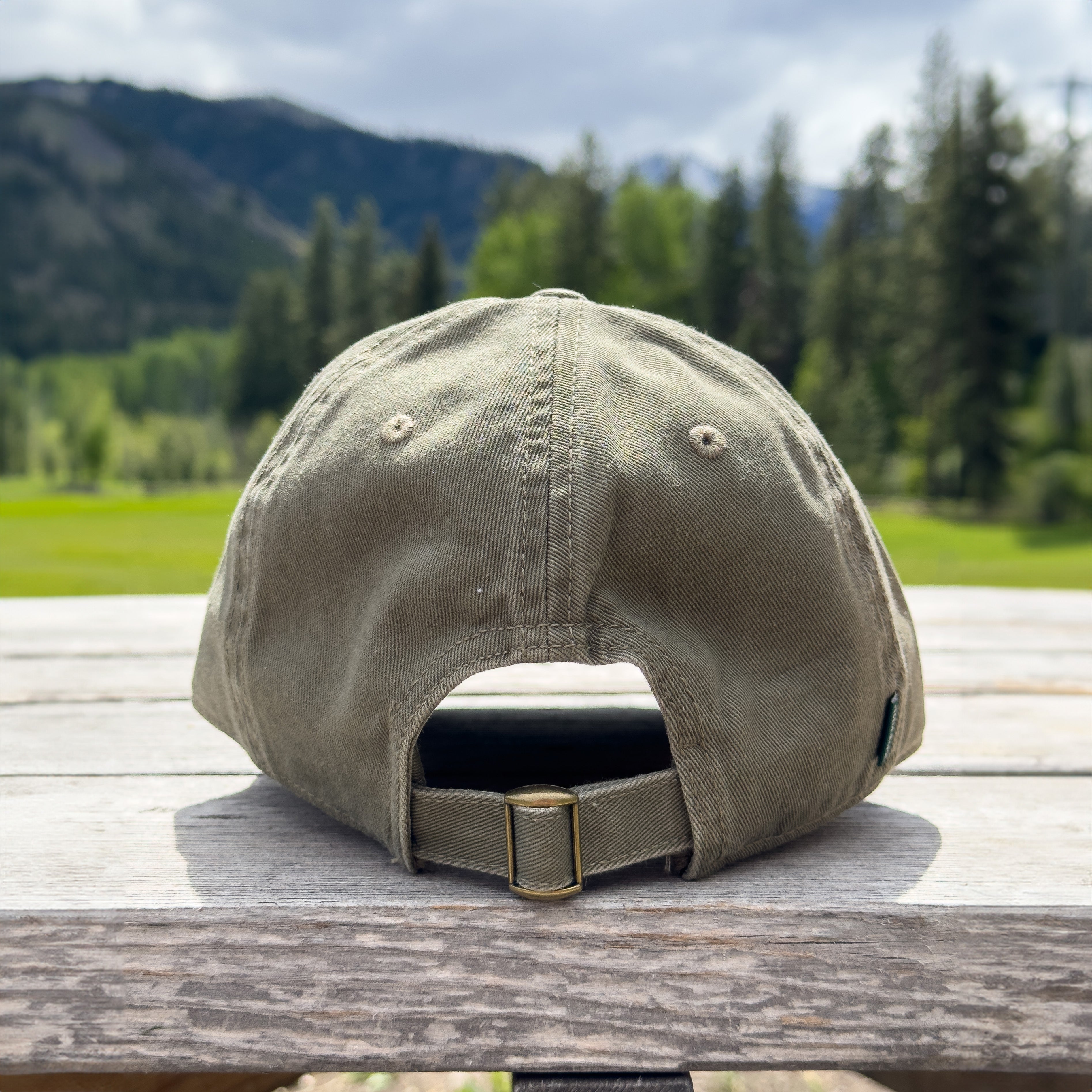 Alpenglow Embroidered Patch Dad Hat (Sage)