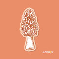 Morel Mushroom Sticker
