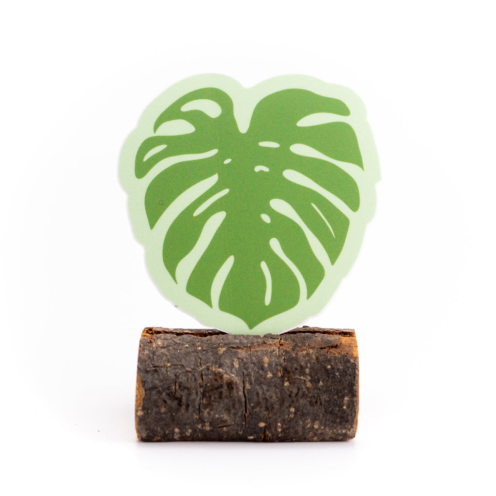 Monstera Sticker
