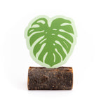 Monstera Sticker