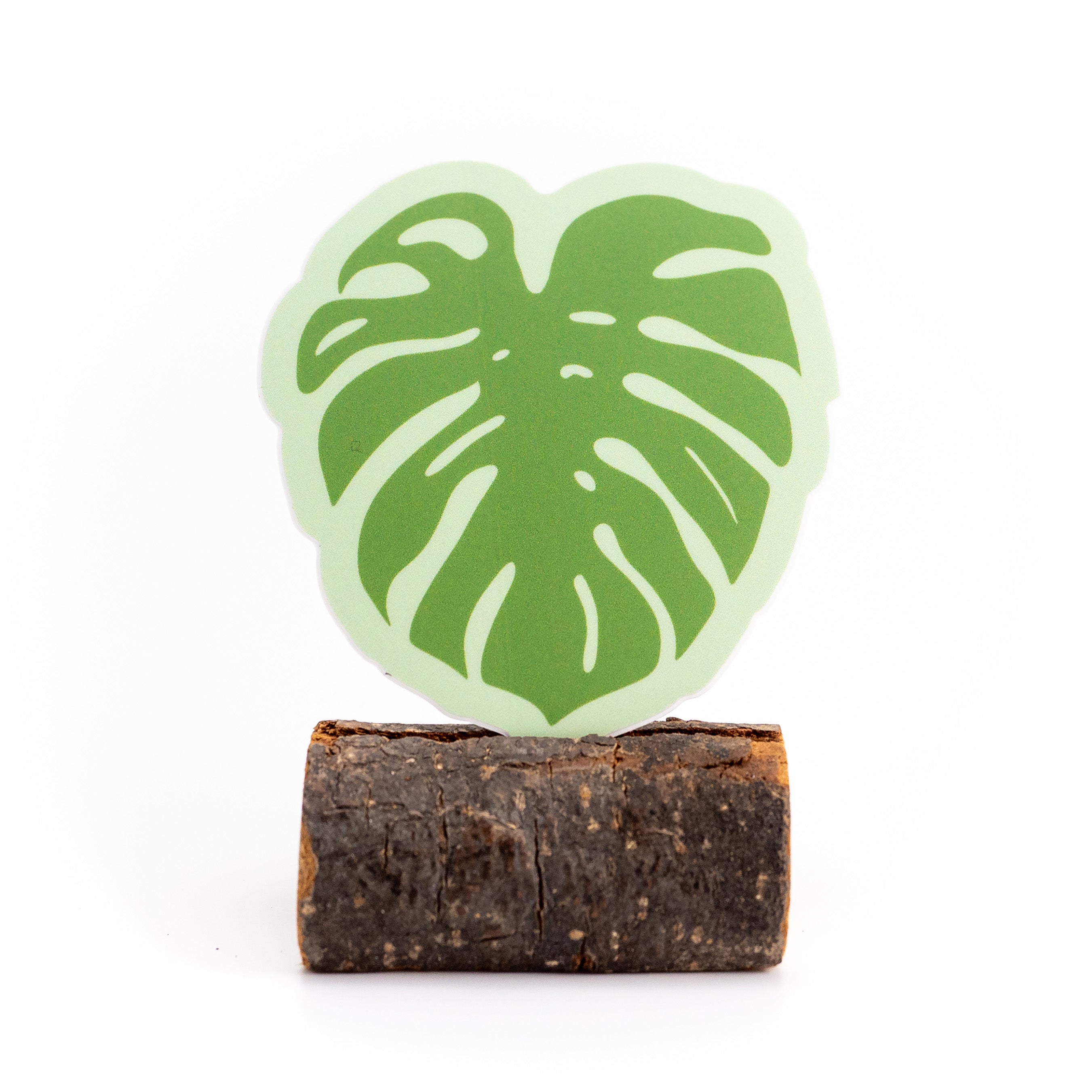 Monstera Sticker