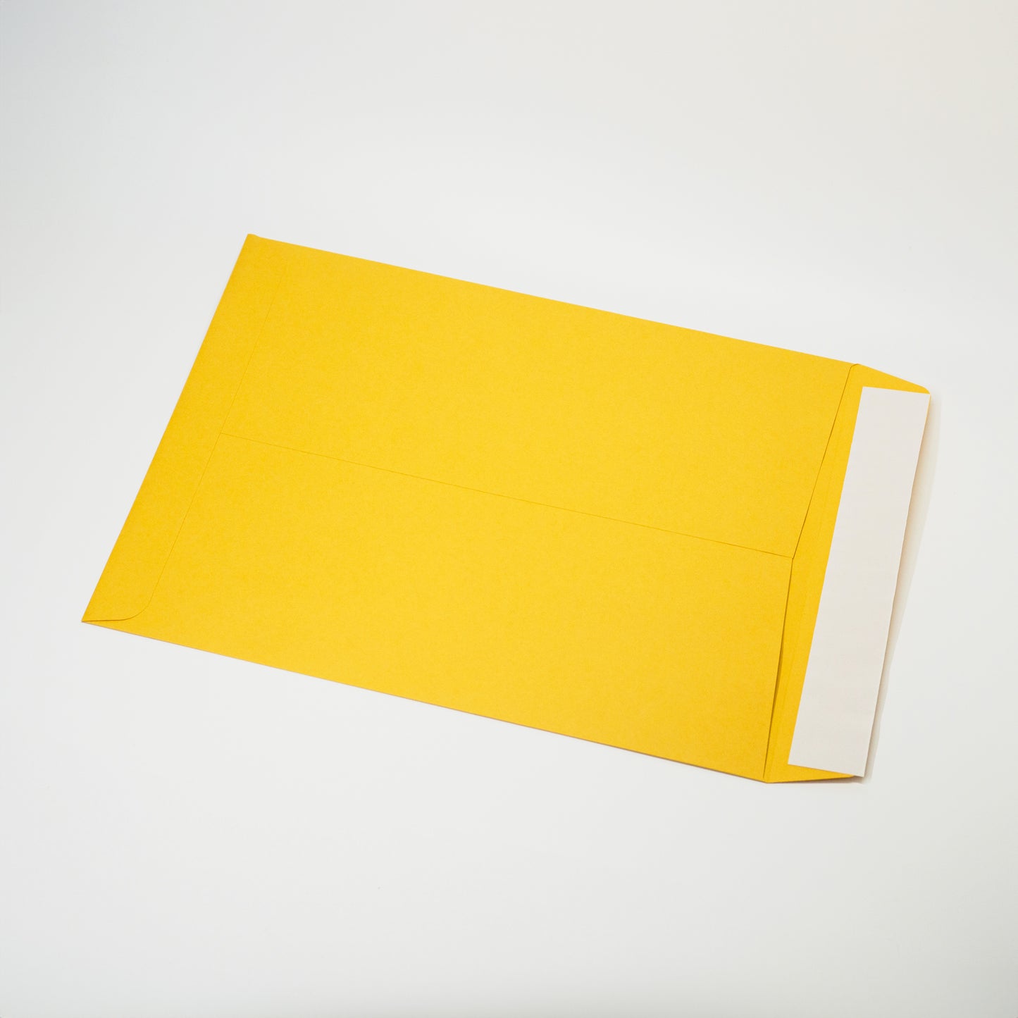 Document Envelopes, 9" x 12" (Pack of 10)