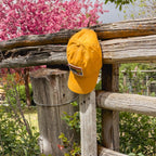Alpenglow Embroidered Patch Dad Hat (Arrowleaf)