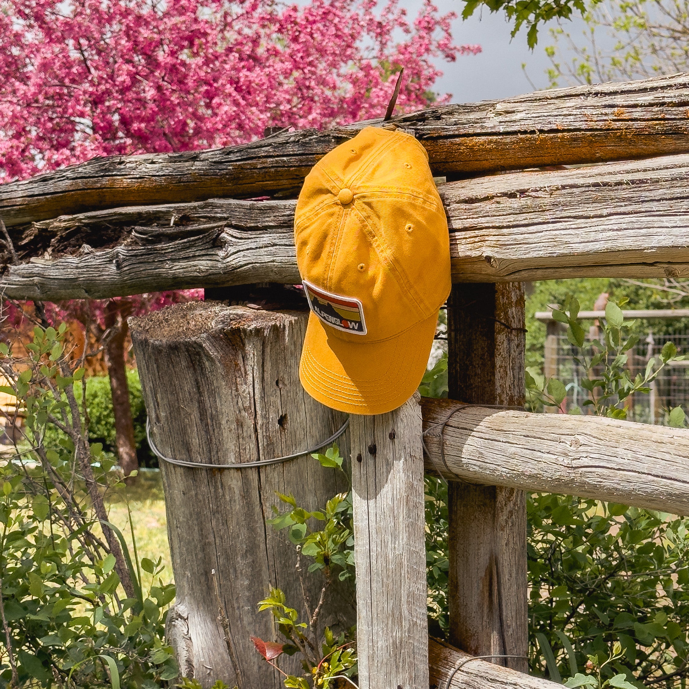 Alpenglow Embroidered Patch Dad Hat (Arrowleaf)