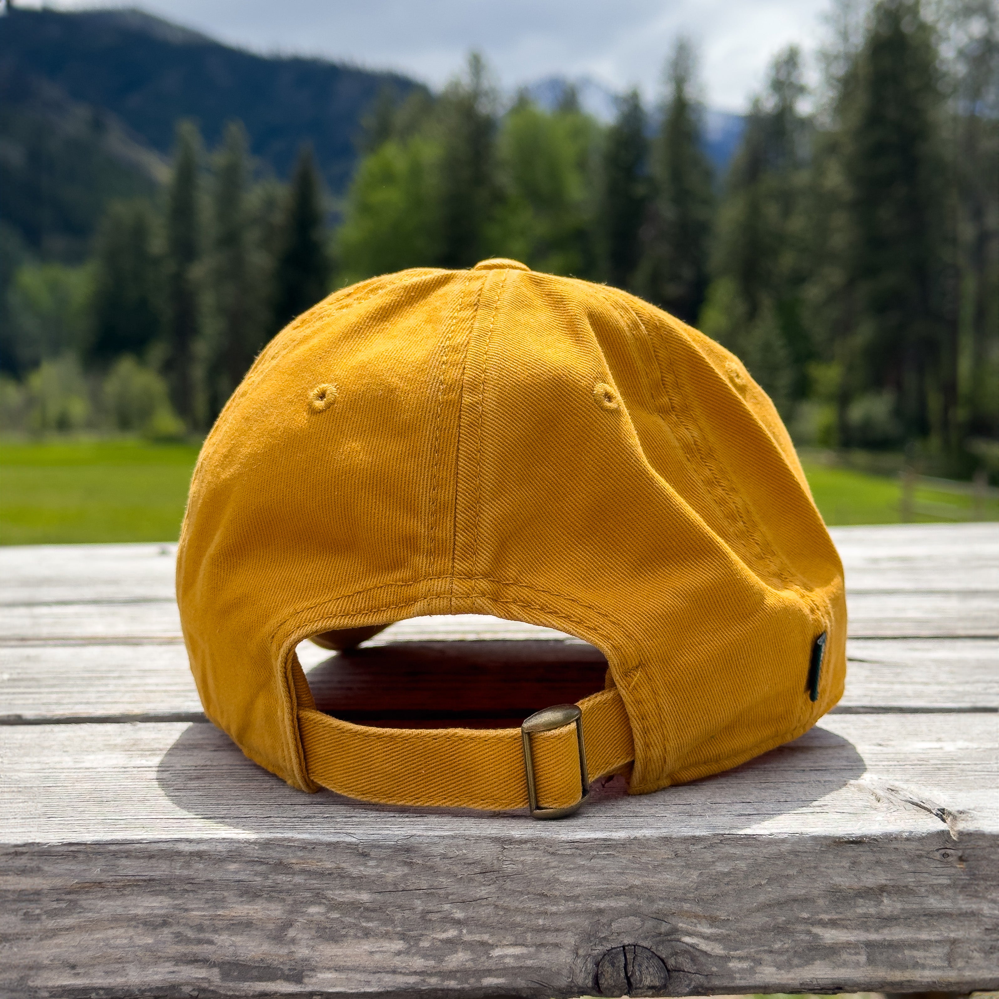 Alpenglow Embroidered Patch Dad Hat (Arrowleaf)