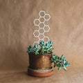 Honeycomb Plant Trellis