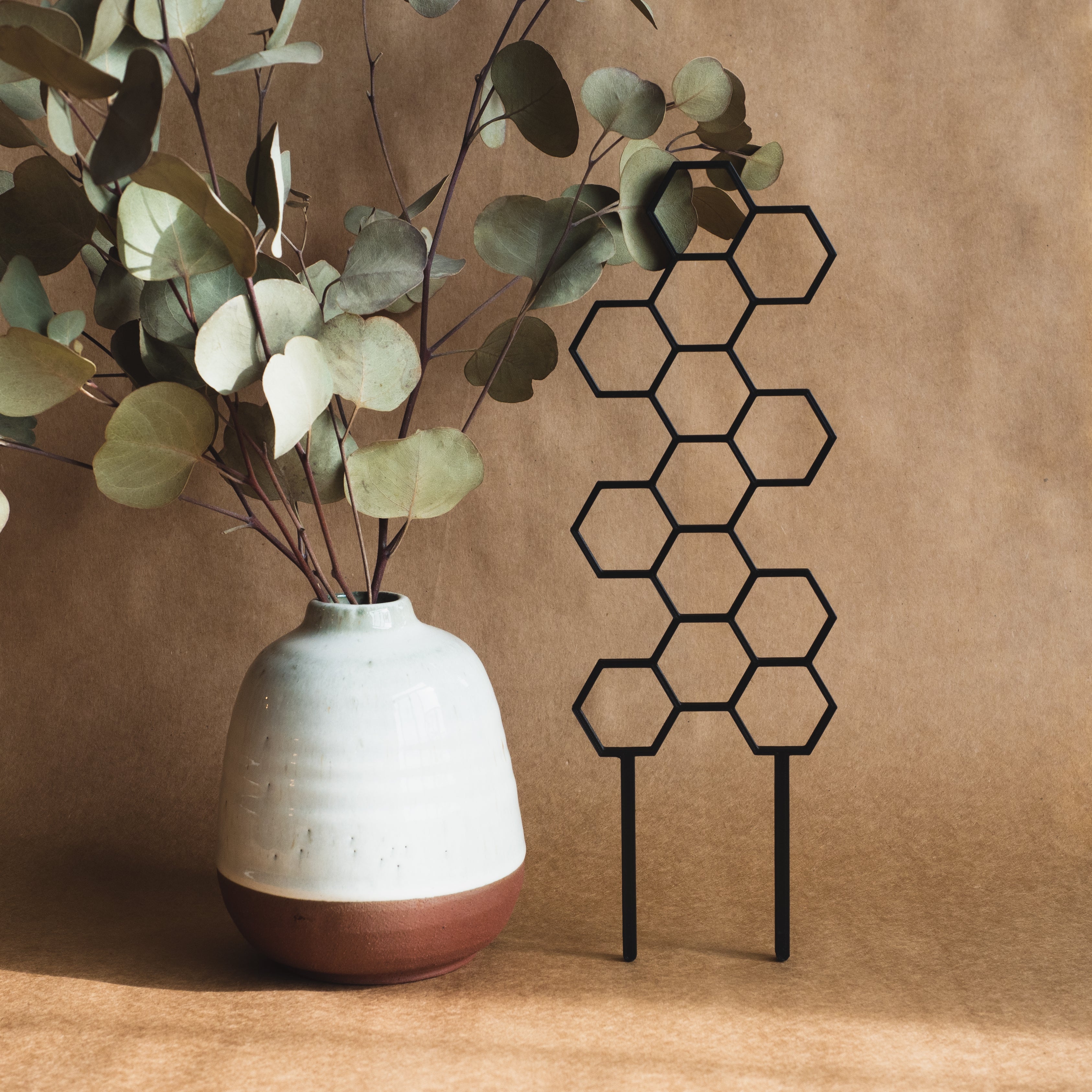 Honeycomb Plant Trellis