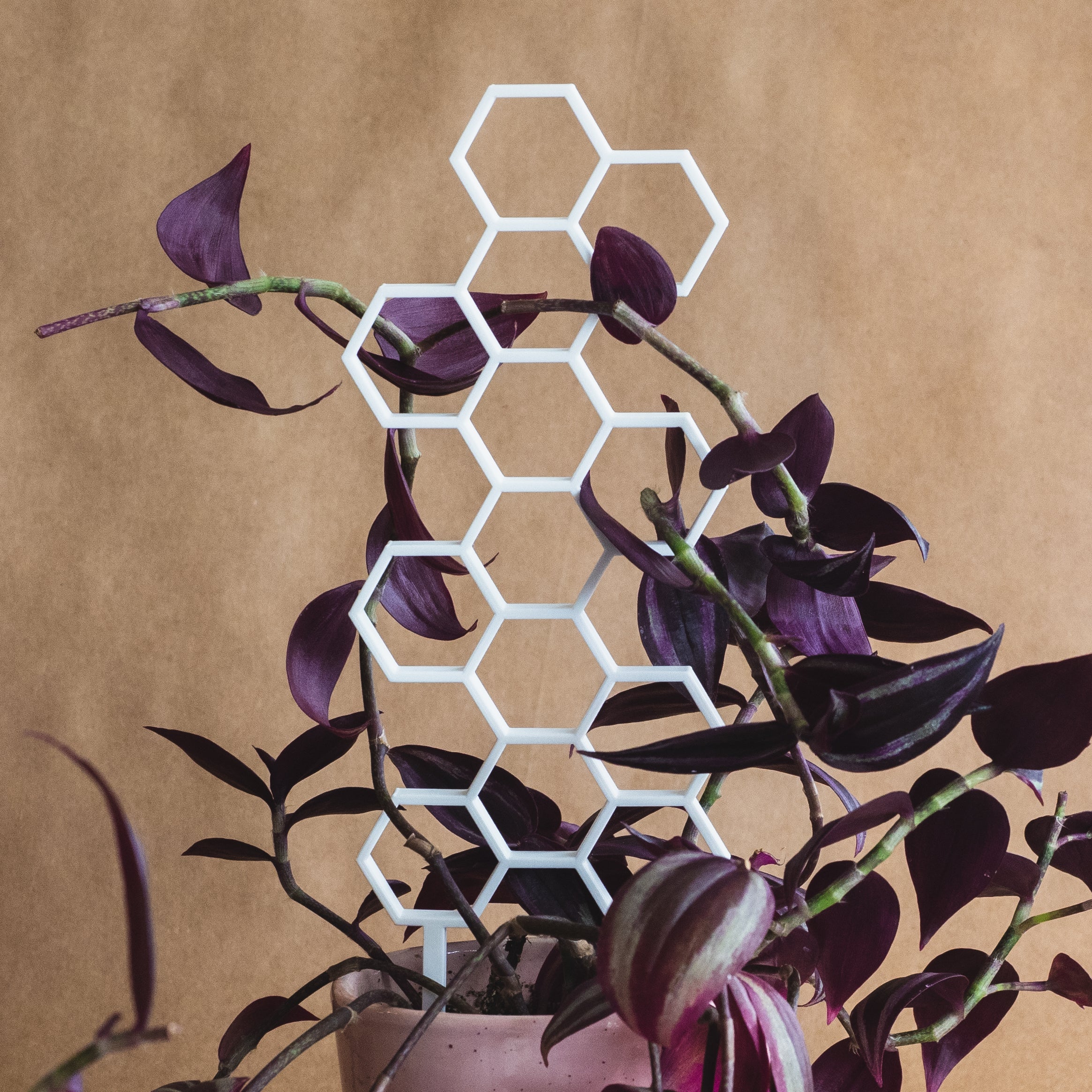 Honeycomb Plant Trellis