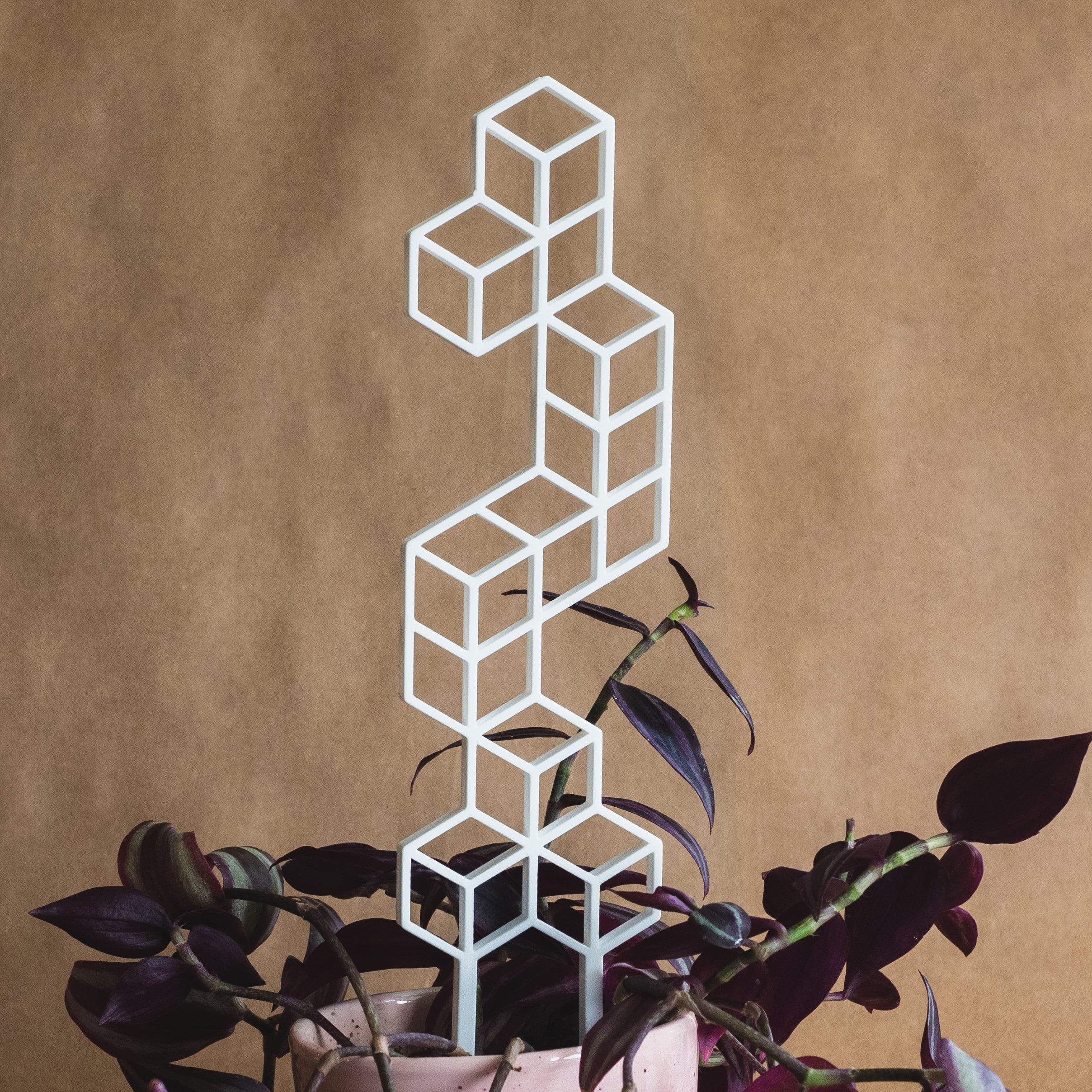 Isometric Plant Trellis
