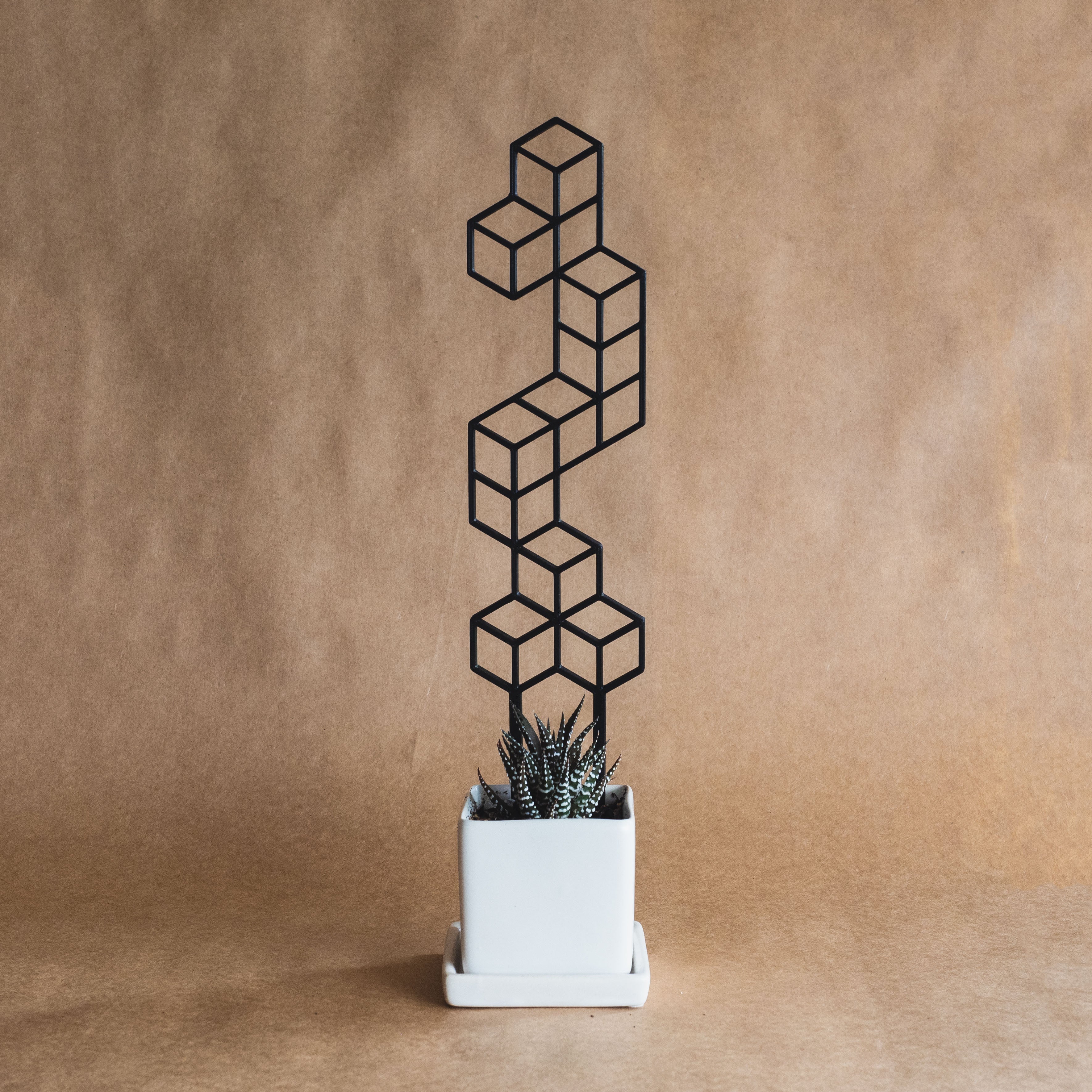 Isometric Plant Trellis