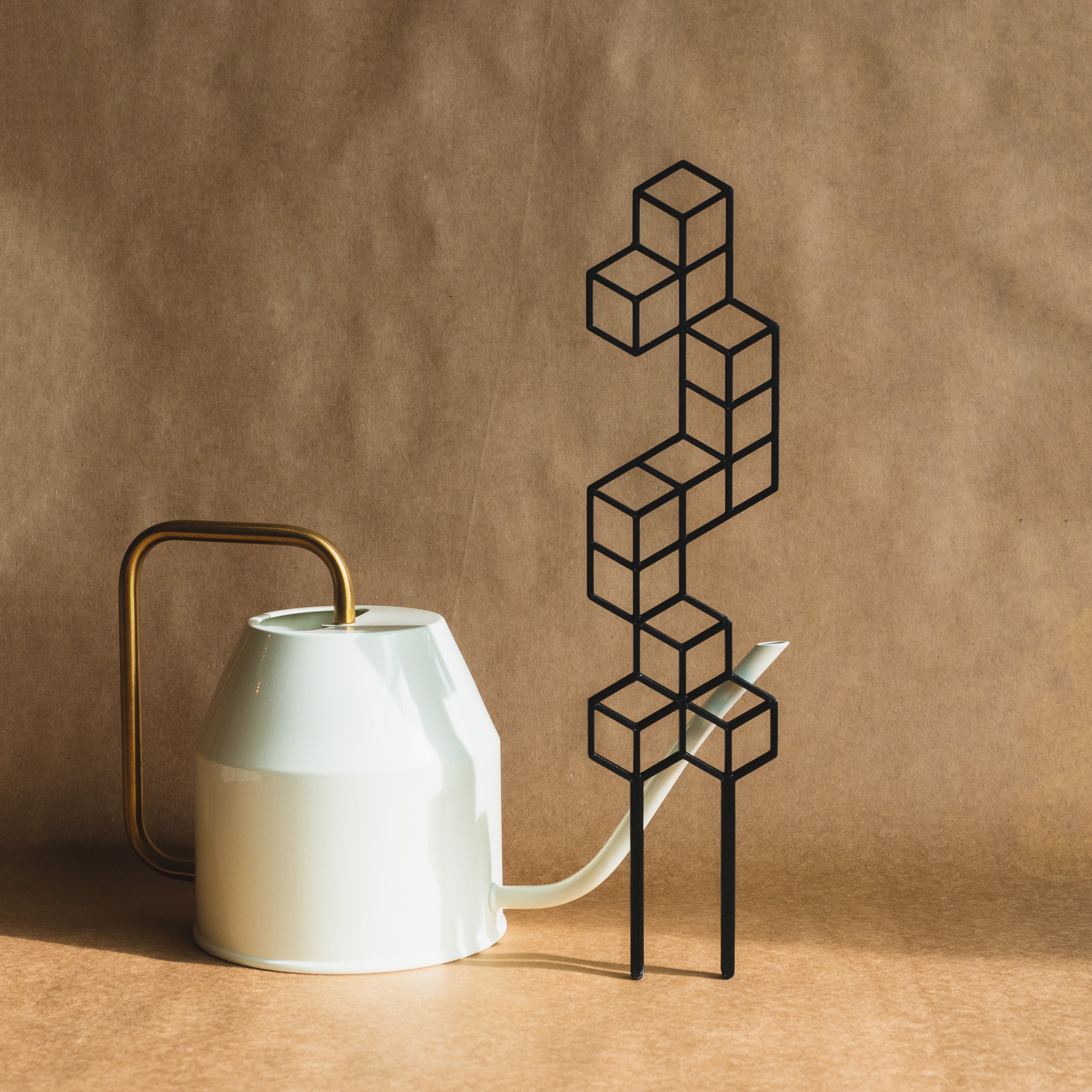 Isometric Plant Trellis