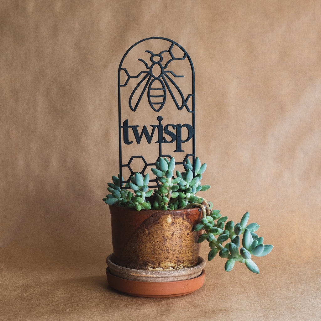 Twisp Plant Trellis