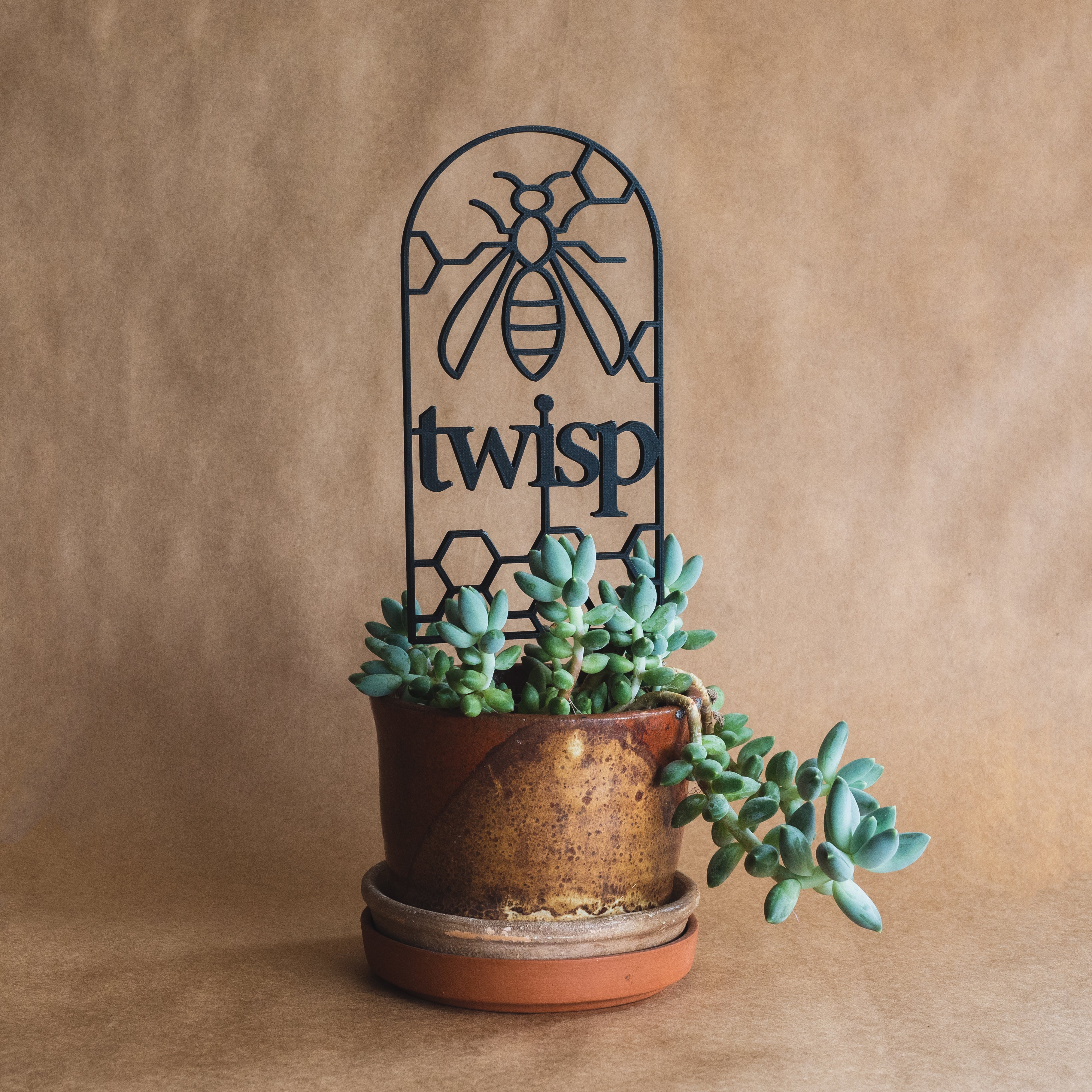 Twisp Plant Trellis
